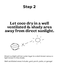 step 2 coco dry in a well ventilated and shaded area away from direct sunlight